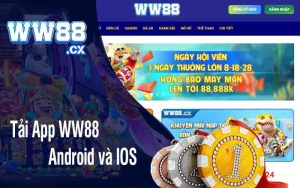 Tải App WW88 - Android và IOS